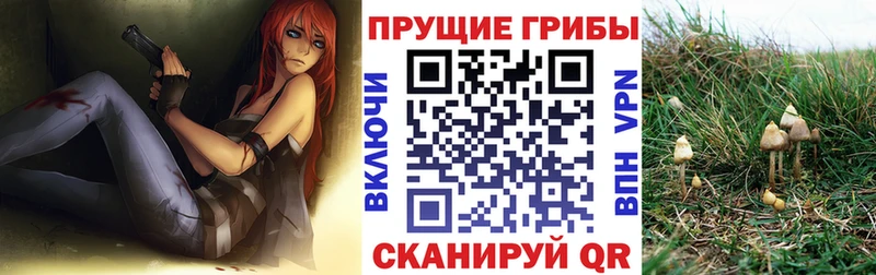 Псилоцибиновые грибы ЛСД  закладки  Каменногорск 