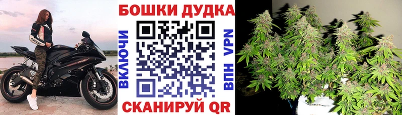 Бошки марихуана гибрид  Каменногорск 